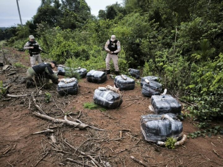 Prefectura secuestró más de 400 kilos de droga en Puerto Libertad