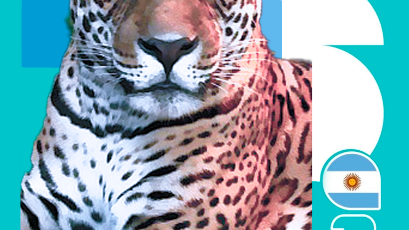Fundación Vida Silvestre Argentina lanza figuritas de especies para celebrar y proteger la biodiversidad