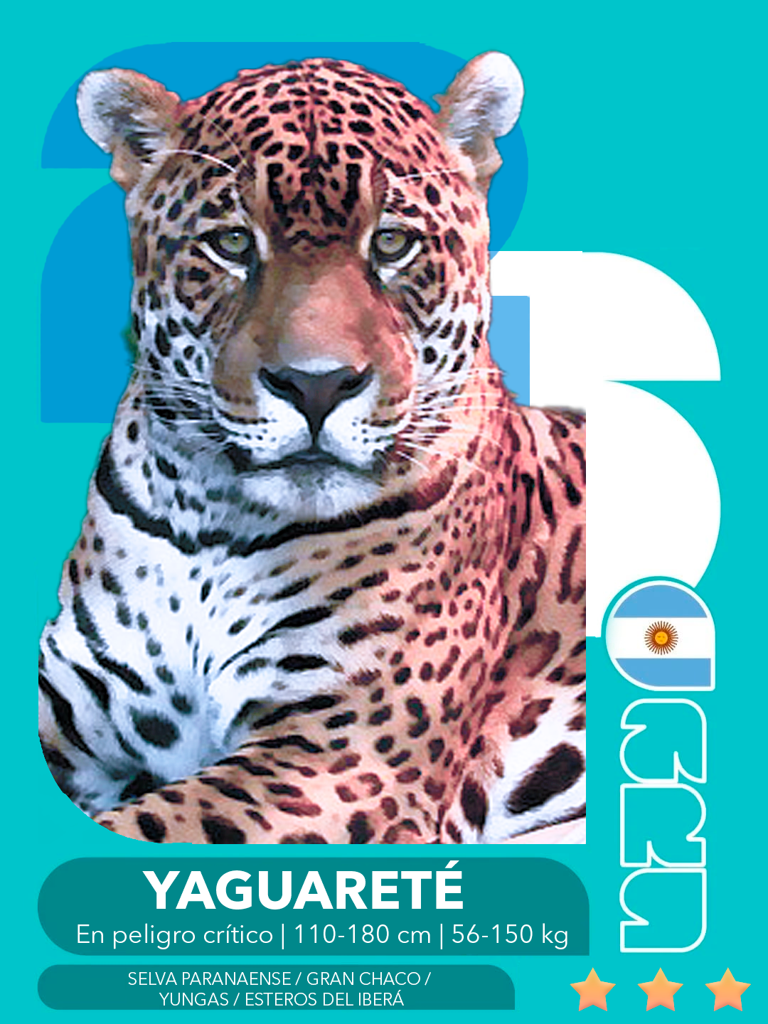 Fundación Vida Silvestre Argentina lanza figuritas de especies para celebrar y proteger la biodiversidad
