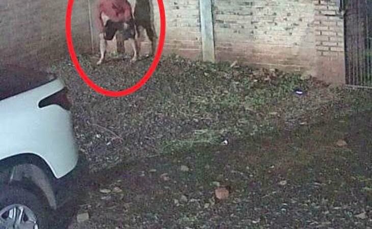Saltó el muro de una vivienda para robar, la Policía lo atrapó y recuperó lo sustraído