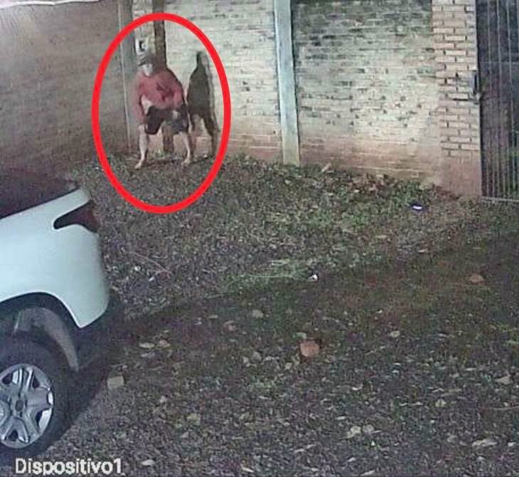 Saltó el muro de una vivienda para robar, la Policía lo atrapó y recuperó lo sustraído