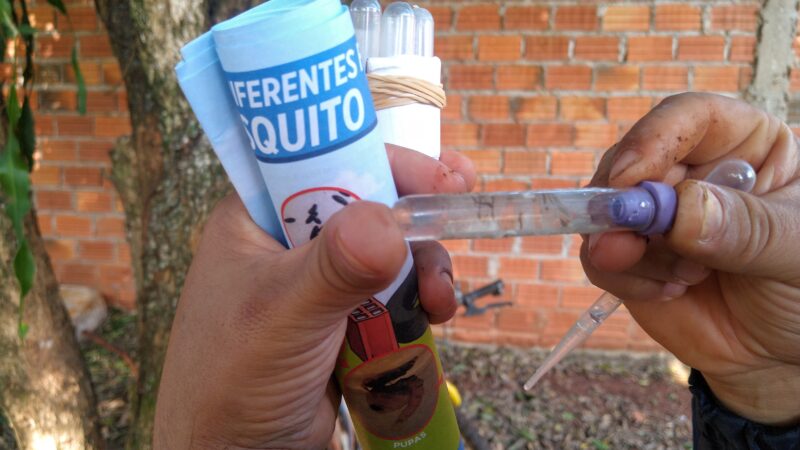 Puerto Iguazú: realizará un operativo LIRAa para fortalecer la prevención del dengue