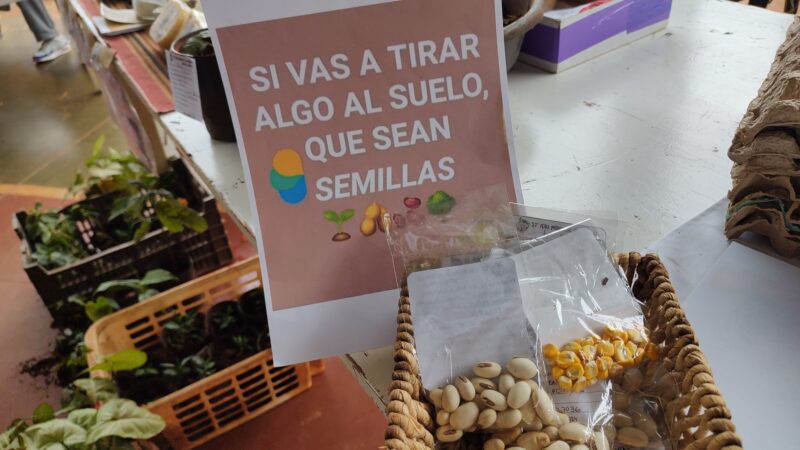 Feria de las semillas: Los alumnos de la EPET Nº 51 dictarán un taller de elaboración de harina de banana