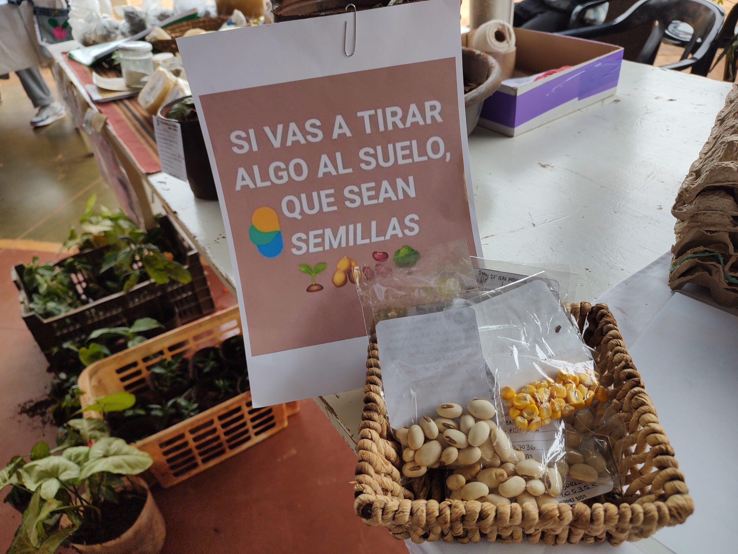 Feria de las semillas: Los alumnos de la EPET Nº 51 dictarán un taller de elaboración de harina de banana
