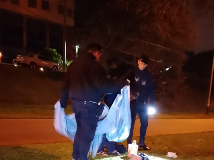 Intentó robar la bandera argentina durante la madrugada y fue demorado