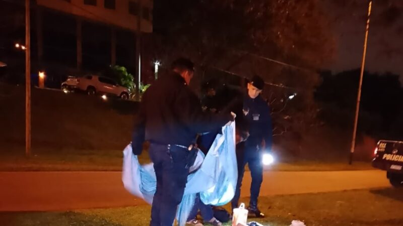 Intentó robar la bandera argentina durante la madrugada y fue demorado