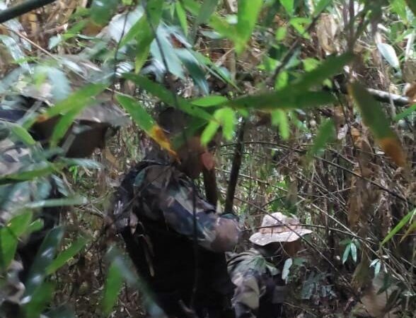 Hallaron restos óseos humanos en el Parque Nacional Iguazú