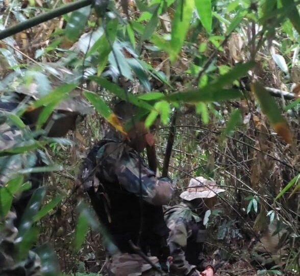 Hallaron restos óseos humanos en el Parque Nacional Iguazú