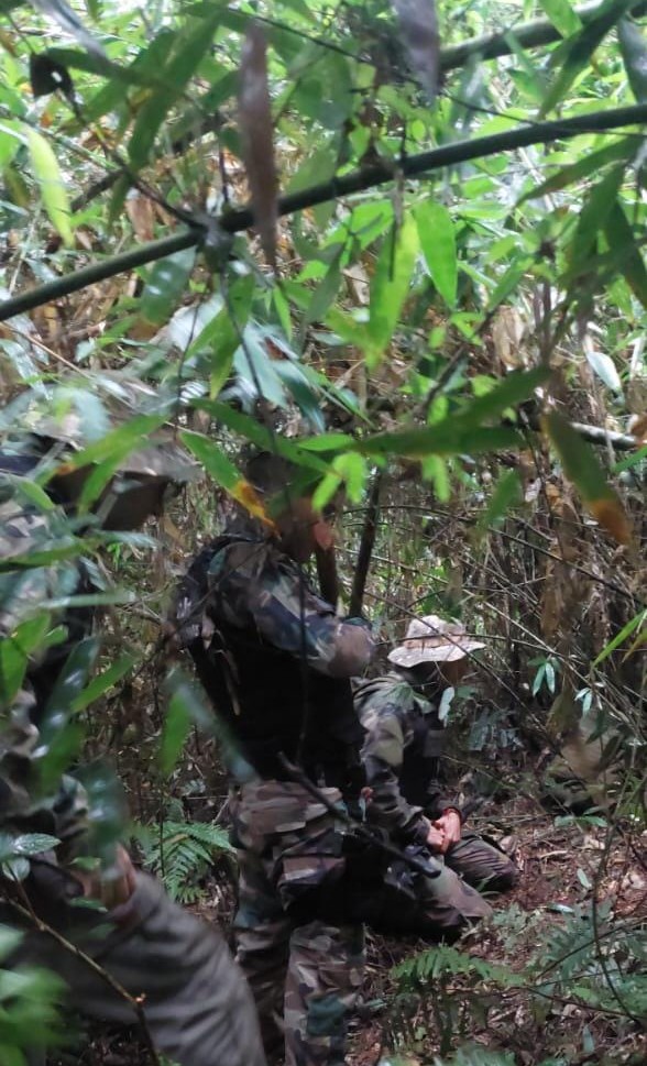 Hallaron restos óseos humanos en el Parque Nacional Iguazú