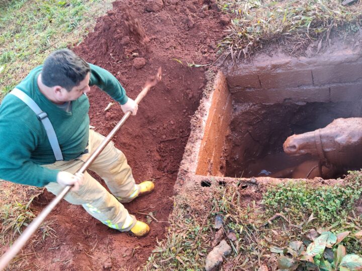 Rescataron a una yegua preñada que cayó en un pozo en las 2.000 Hectáreas