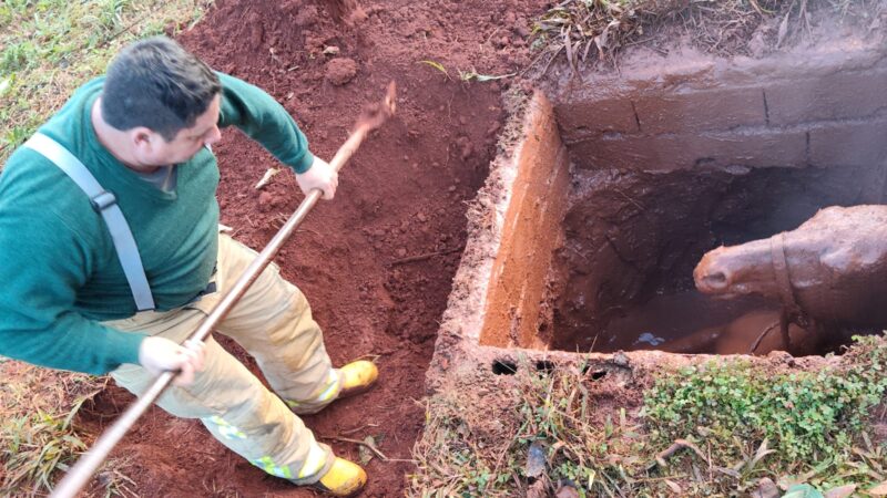 Rescataron a una yegua preñada que cayó en un pozo en las 2.000 Hectáreas