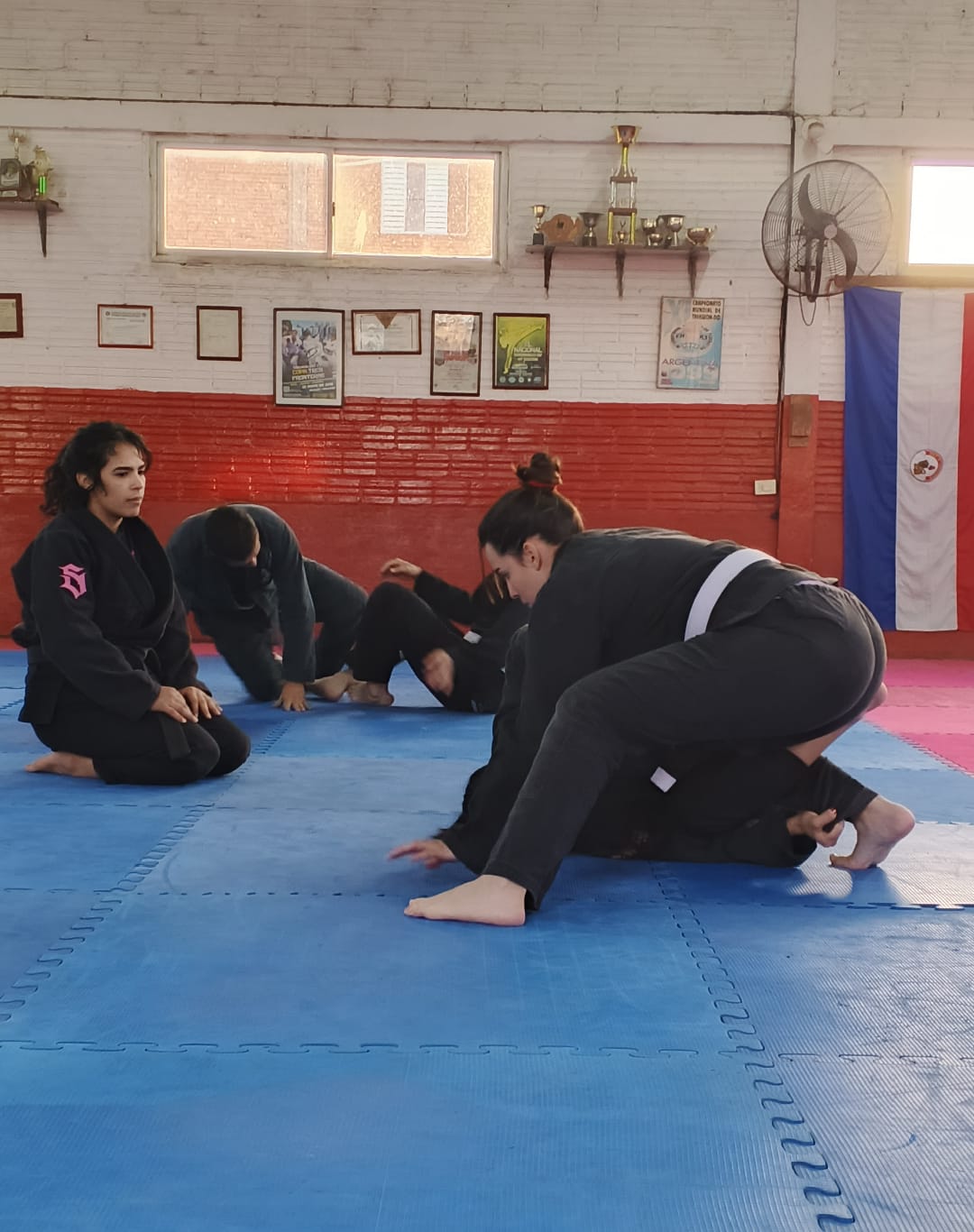 La práctica regular de Jiu-Jitsu ayuda a controlar el cortisol