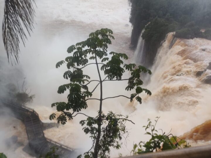 Más de 8 millones de litros de agua se desploman en las Cataratas del Iguazú