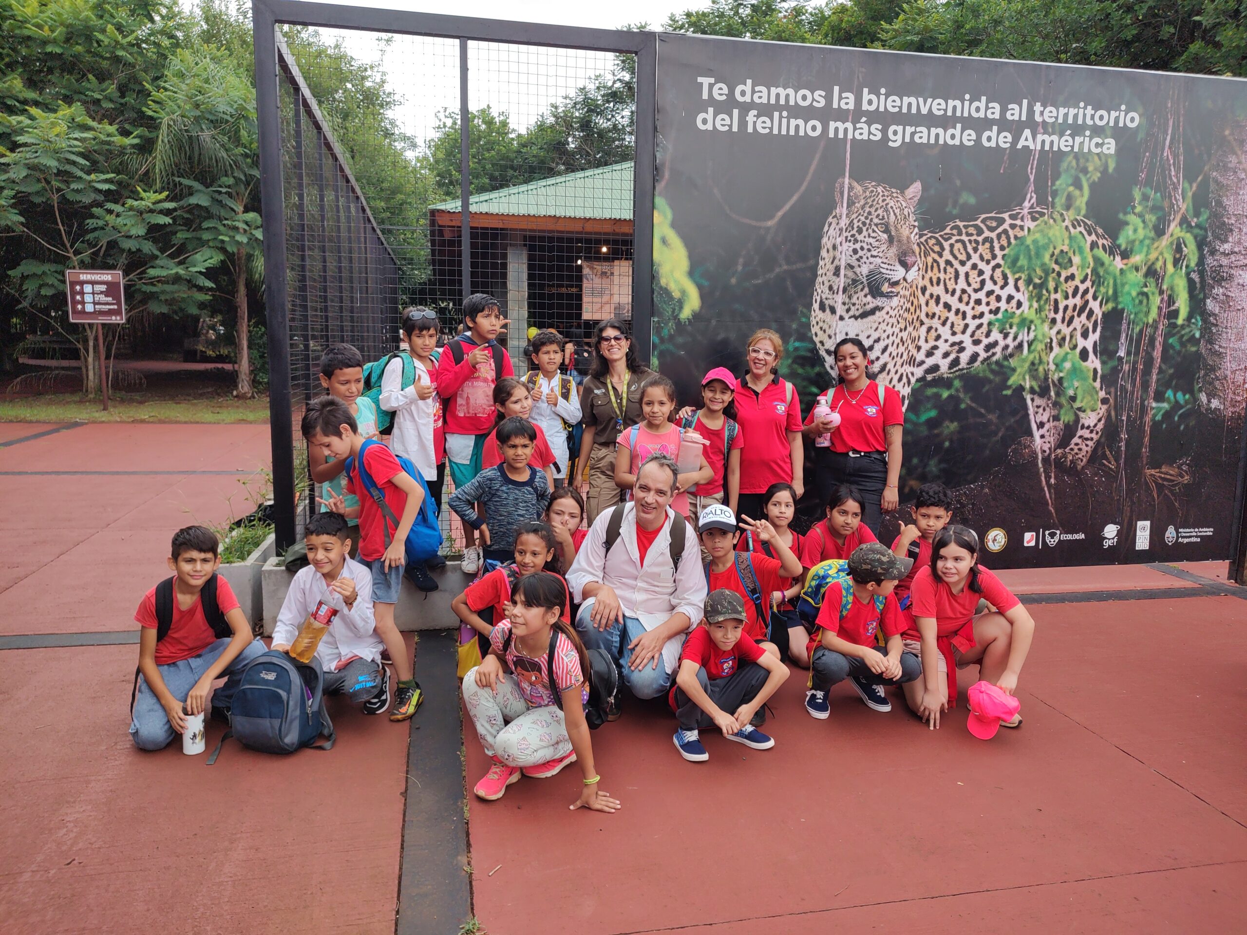 Extienden el alcance a toda la provincia del concurso “El yaguareté nos cuenta la selva”