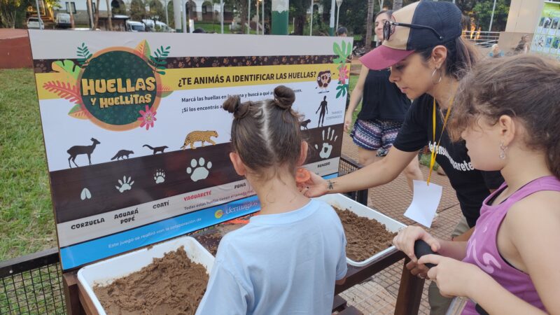 Convocan a alumnos de 5º y 6º a participar del concurso “El yaguareté nos cuenta la selva”