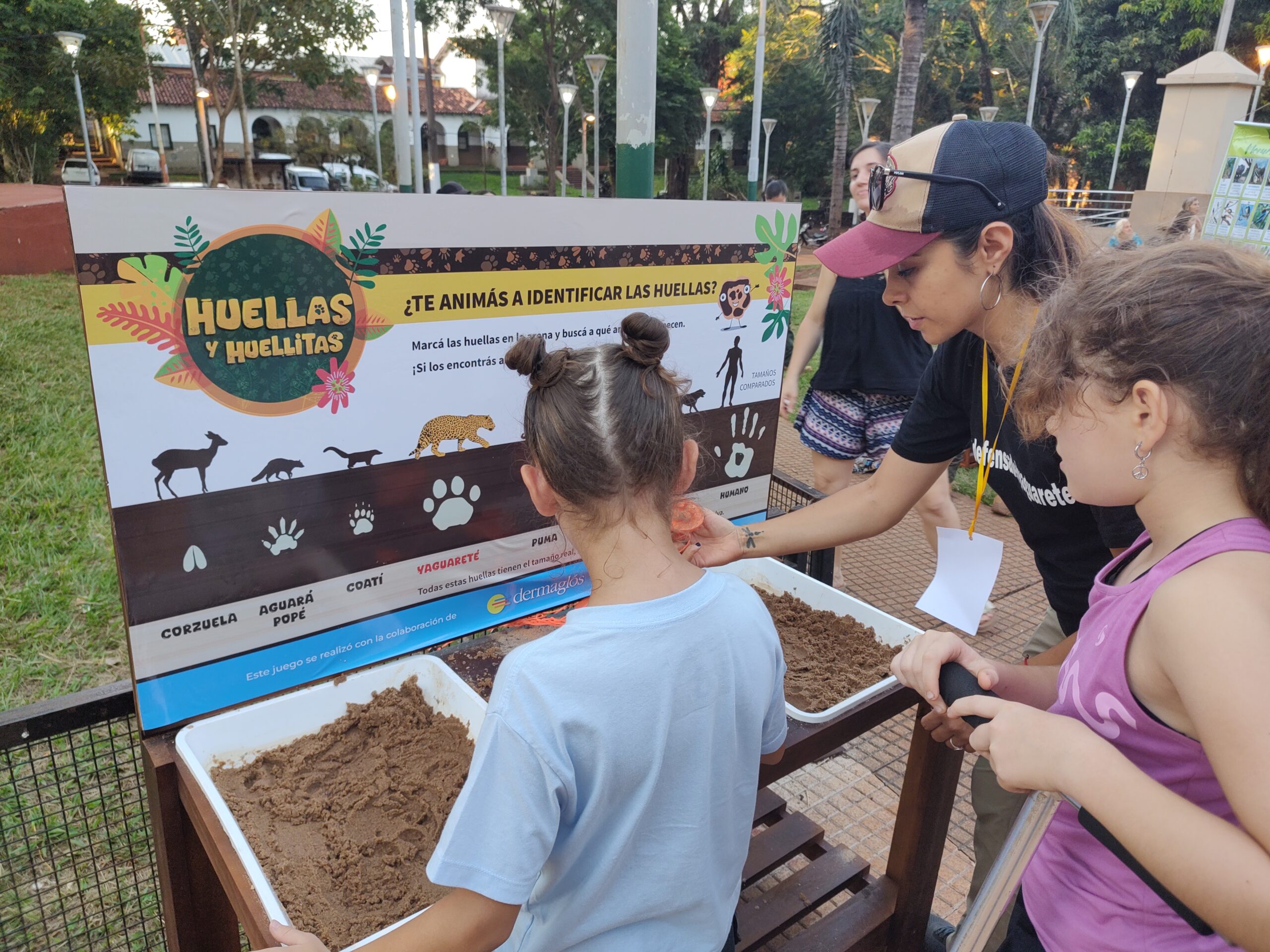 Convocan a alumnos de 5º y 6º a participar del concurso “El yaguareté nos cuenta la selva”