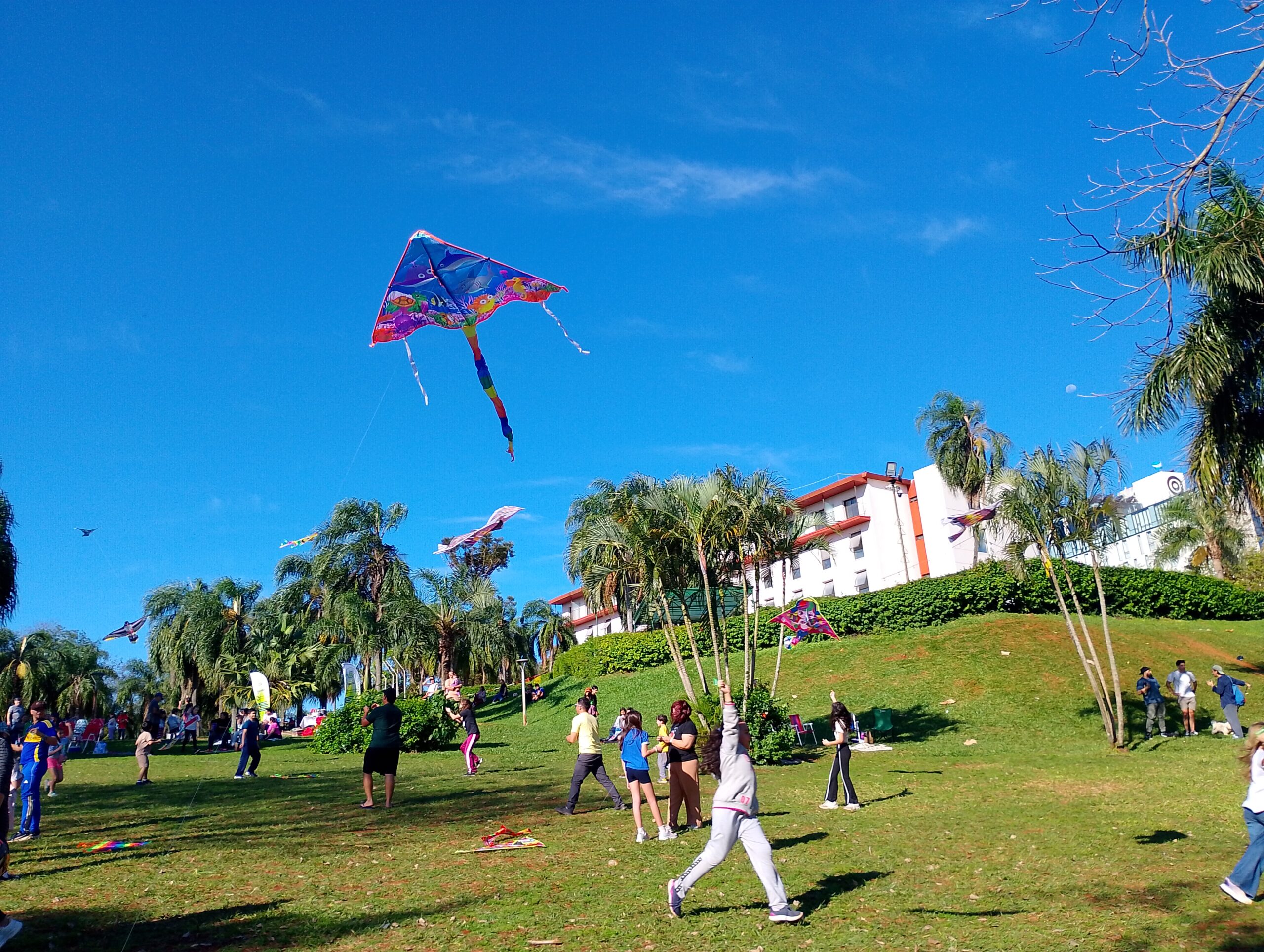 Barriletes colorearon el cielo iguazuense en la tradicional barrileteada por el día del niño
