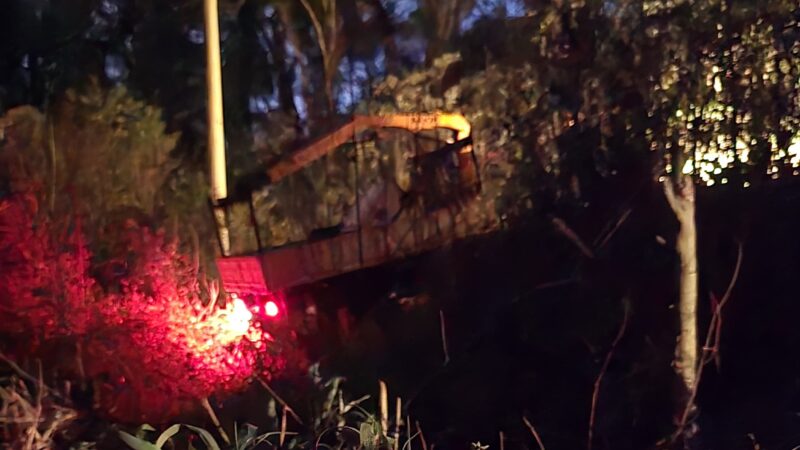 Se repuso línea troncal afectada por la caída de un árbol en Andresito