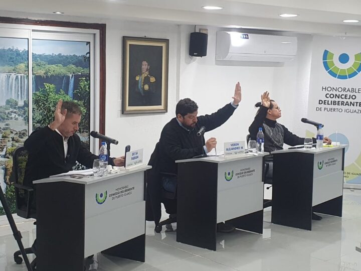Reclamaron la autonomía económica del Concejo Deliberante de Iguazú