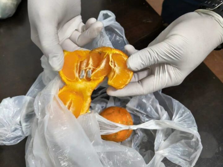 En una requisa encontraron cocaína en limones que serian entregados a un detenido
