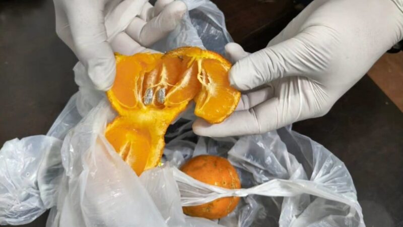 En una requisa encontraron cocaína en limones que serian entregados a un detenido