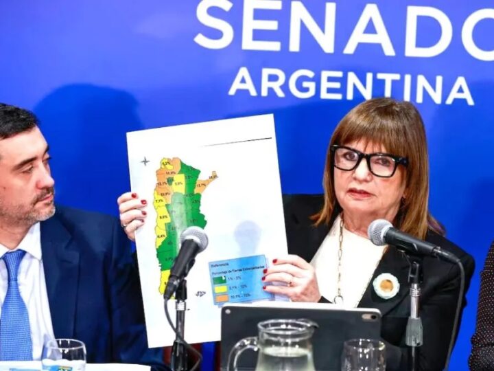 Giro en el Senado: el Gobierno retiró el polémico capítulo de extranjerización de tierras