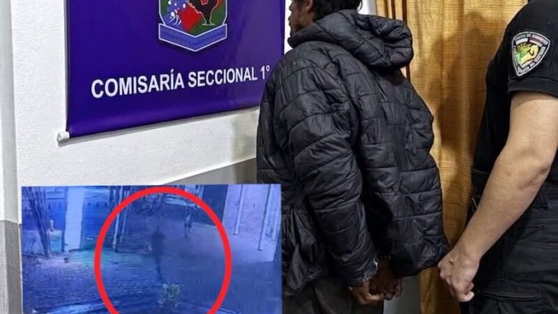 Cayó «Vito» cuando intentaba robar cables de un hotel en Iguazú