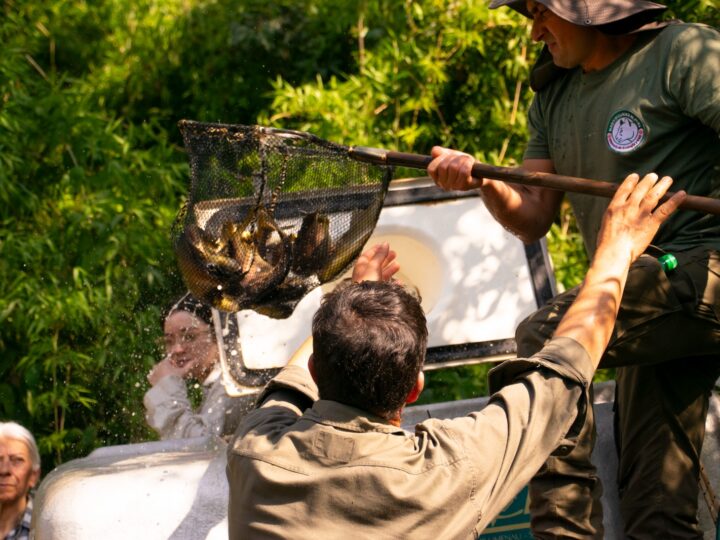 Entregaron alevines la comunidad de la aldea Yryapú de Puerto Iguazú