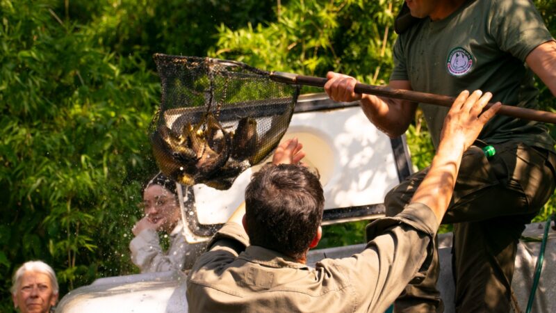 Entregaron alevines la comunidad de la aldea Yryapú de Puerto Iguazú