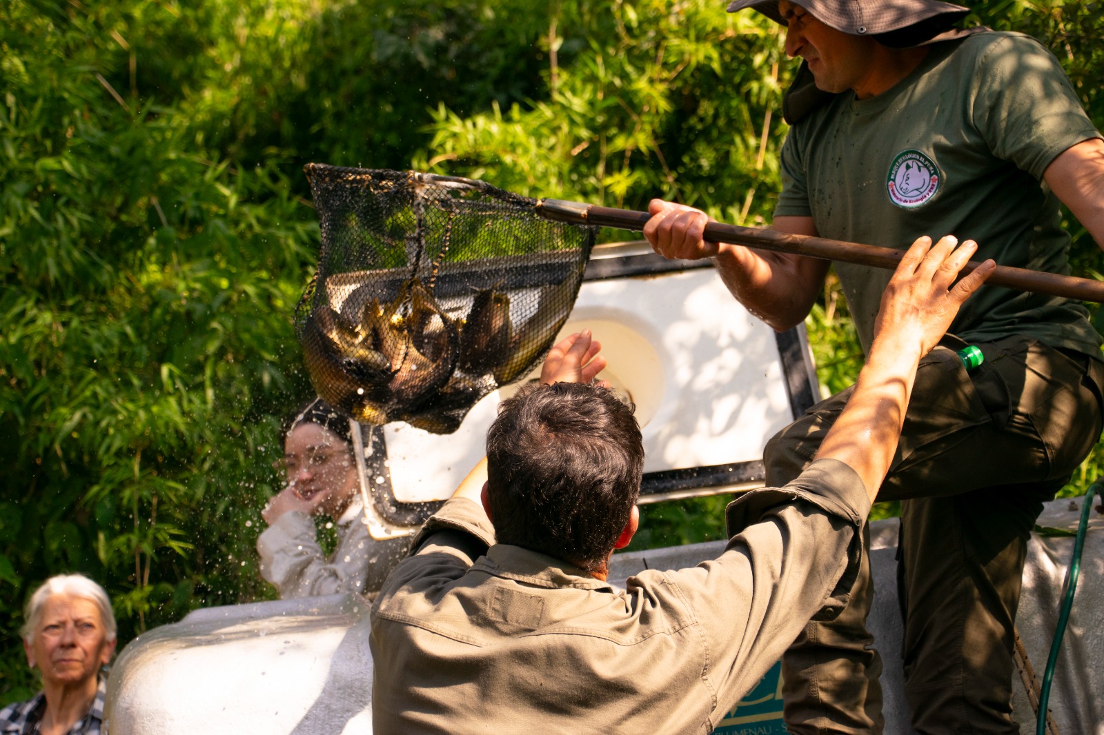 Entregaron alevines la comunidad de la aldea Yryapú de Puerto Iguazú