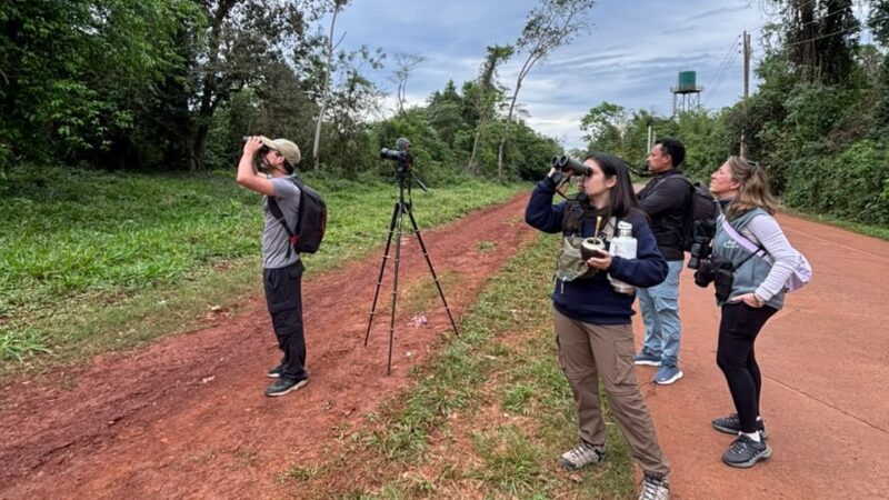 Dictarán un taller básico gratuito de observación de aves en Iguazú