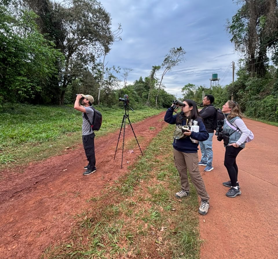 Dictarán un taller básico gratuito de observación de aves en Iguazú