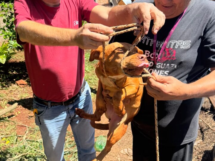 Morena cayó en un pozo y fue rescatada por los bomberos