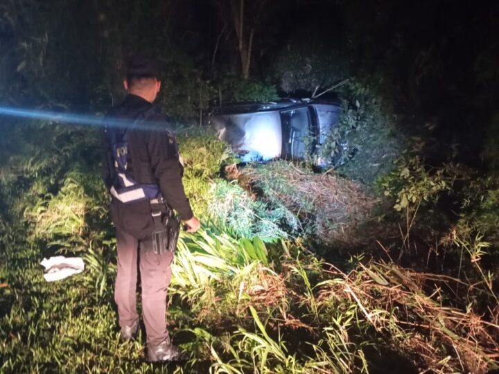 Desvió un camión quiso pasar a un automóvil y terminó en el monte