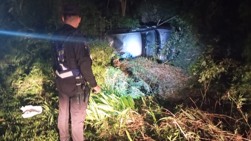 Desvió un camión quiso pasar a un automóvil y terminó en el monte