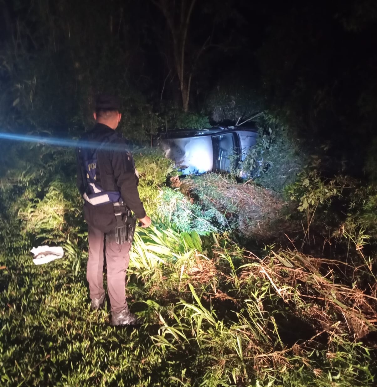 Desvió un camión quiso pasar a un automóvil y terminó en el monte