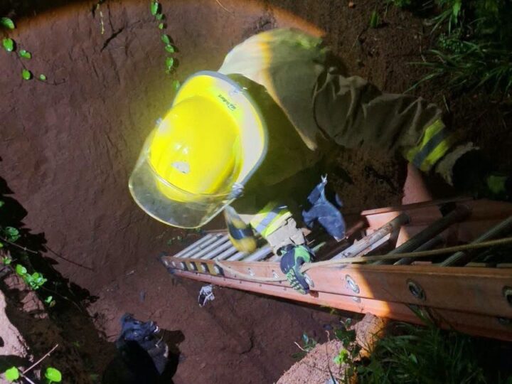 Iguazú: Rescataron a un perro que cayó a un pozo de 3 metros