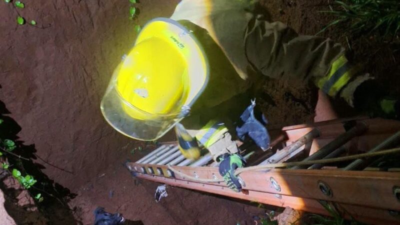 Iguazú: Rescataron a un perro que cayó a un pozo de 3 metros