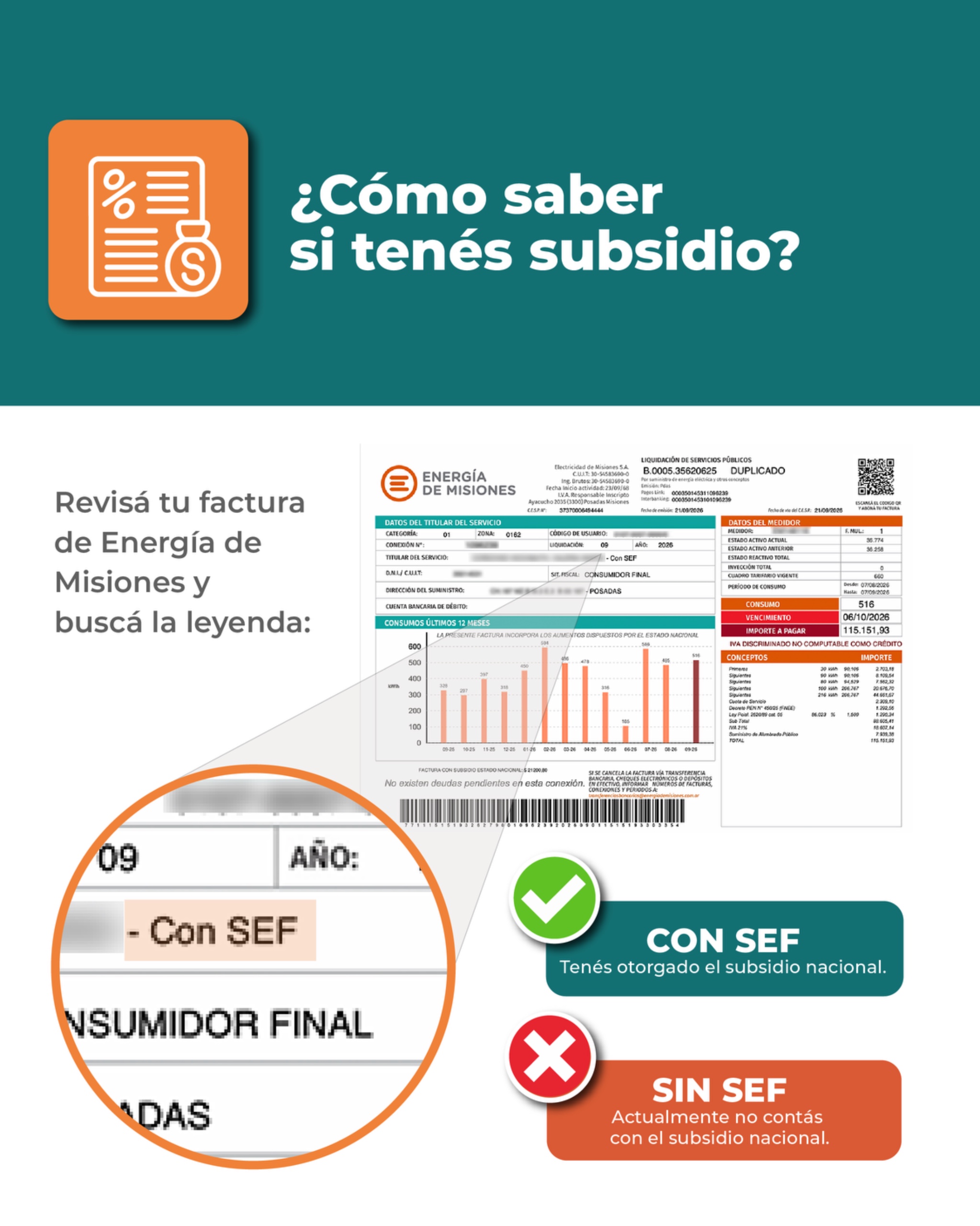 Régimen diferencial de subsidios eléctricos para Misiones: recomiendan a los usuarios verificar si están inscriptos en el SEF