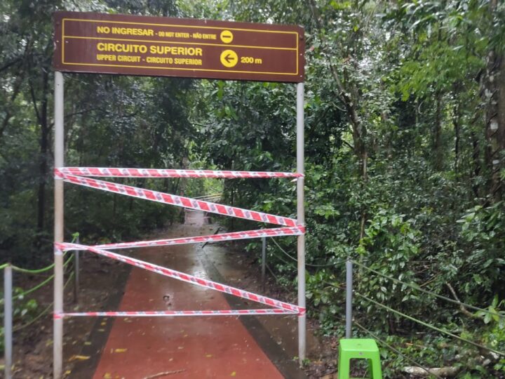 Abrirán el Parque Nacional Iguazú, pero los circuitos que llevan a los saltos estarán cerrados